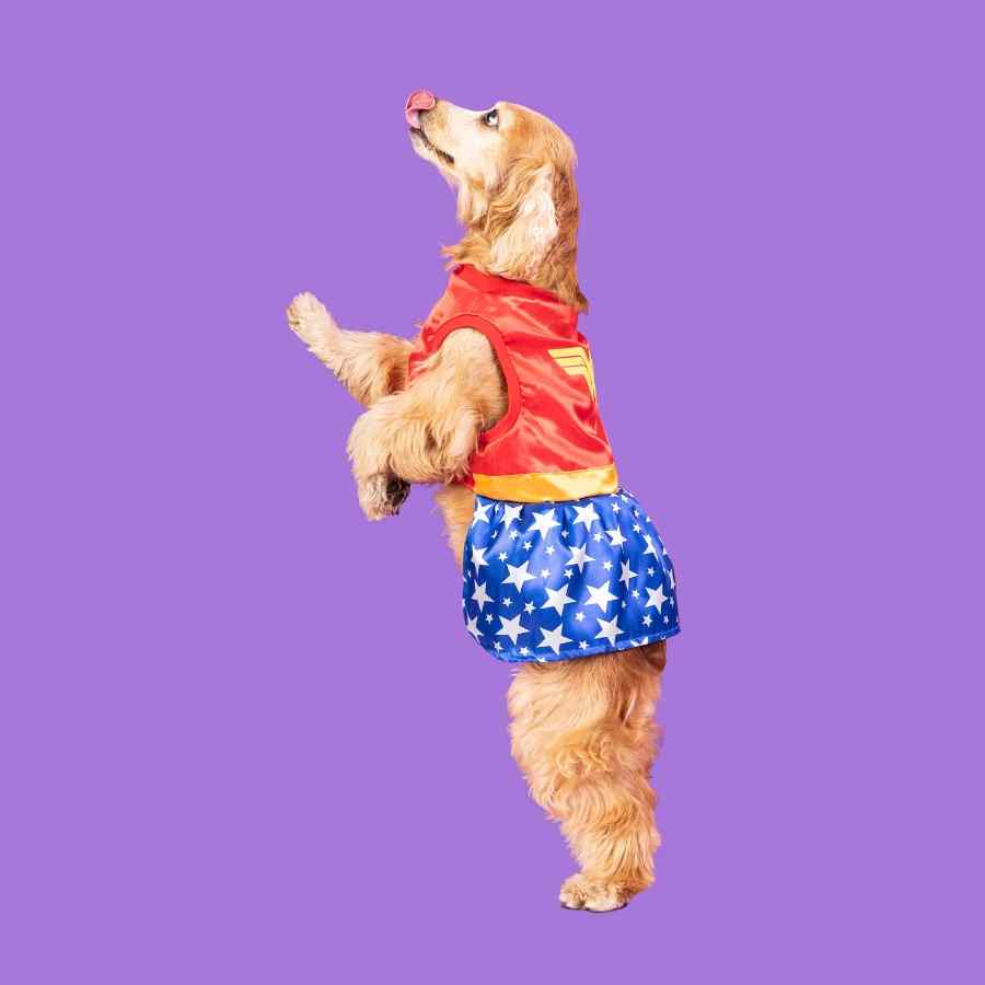 Disfraz Maravilla Dog, , large image number null